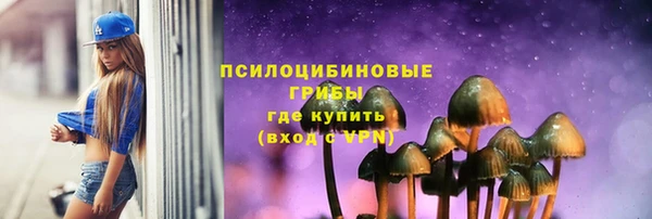 крисы Абдулино
