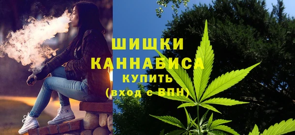 крисы Абдулино