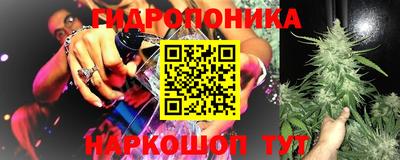 ешки Бийск