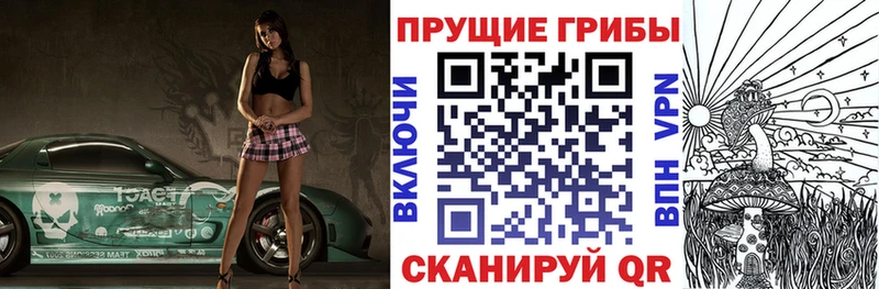 Псилоцибиновые грибы Cubensis  купить   Знаменск 