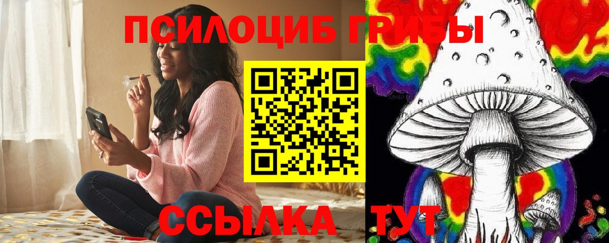 Псилоцибиновые грибы мухоморы Знаменск